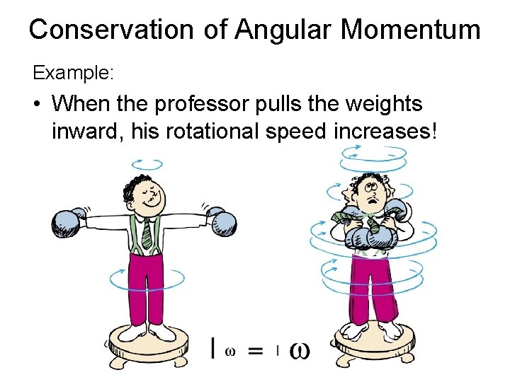 Conservation of Angular Momentum Example: • When the professor pulls the weights inward, his