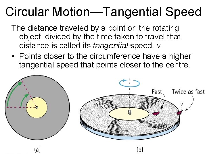 Circular Motion—Tangential Speed The distance traveled by a point on the rotating object divided