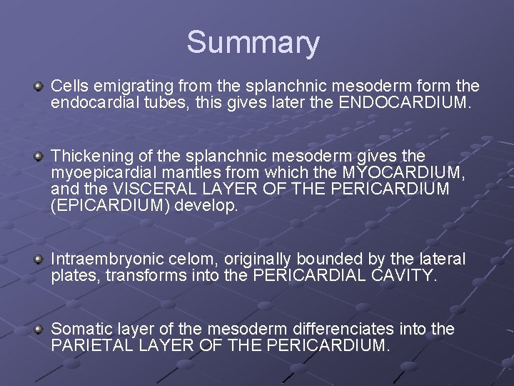 Summary Cells emigrating from the splanchnic mesoderm form the endocardial tubes, this gives later