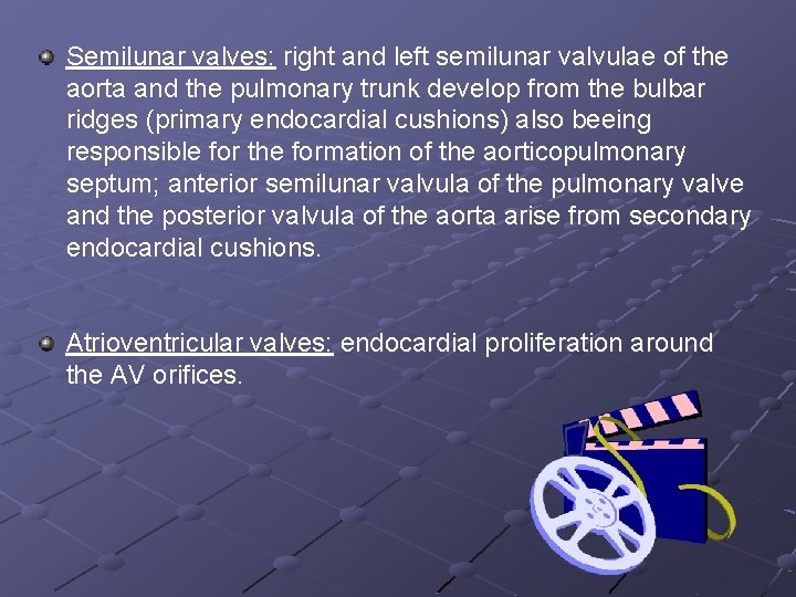 Semilunar valves: right and left semilunar valvulae of the aorta and the pulmonary trunk