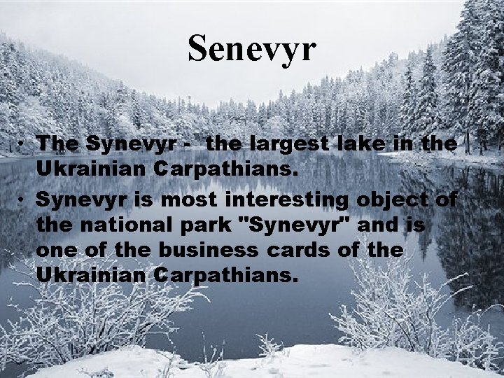 Senevyr • The Synevyr - the largest lake in the Ukrainian Carpathians. • Synevyr Senevyr • The Synevyr - the largest lake in the Ukrainian Carpathians. • Synevyr