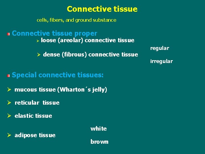 Connective tissue cells, fibers, and ground substance Connective tissue proper Ø loose (areolar) connective