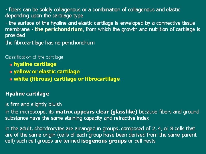 - fibers can be solely collagenous or a combination of collagenous and elastic depending