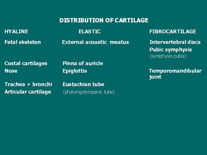 DISTRIBUTION OF CARTILAGE HYALINE Fetal skeleton ELASTIC External acoustic meatus FIBROCARTILAGE Intervertebral discs Pubic