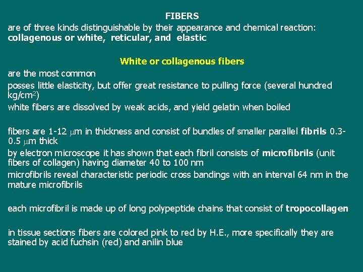 FIBERS are of three kinds distinguishable by their appearance and chemical reaction: collagenous or