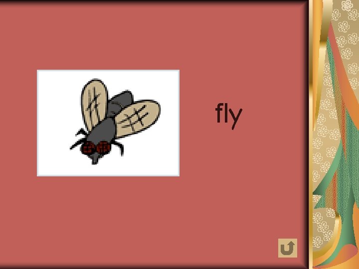 fly 