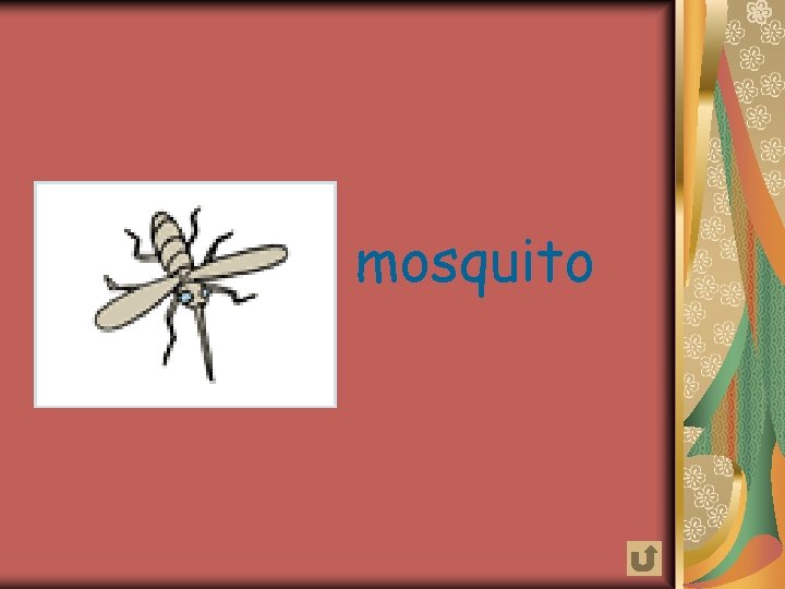 mosquito 