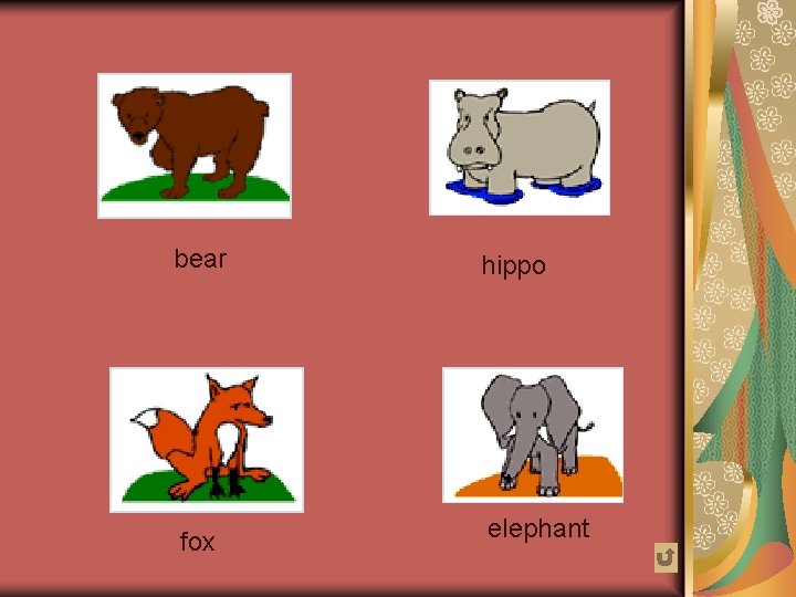 bear hippo fox elephant 