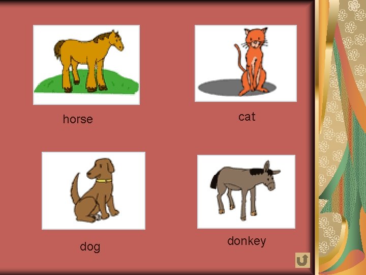 horse dog cat donkey 