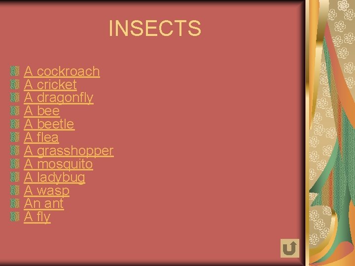INSECTS A cockroach A cricket A dragonfly A beetle A flea A grasshopper A