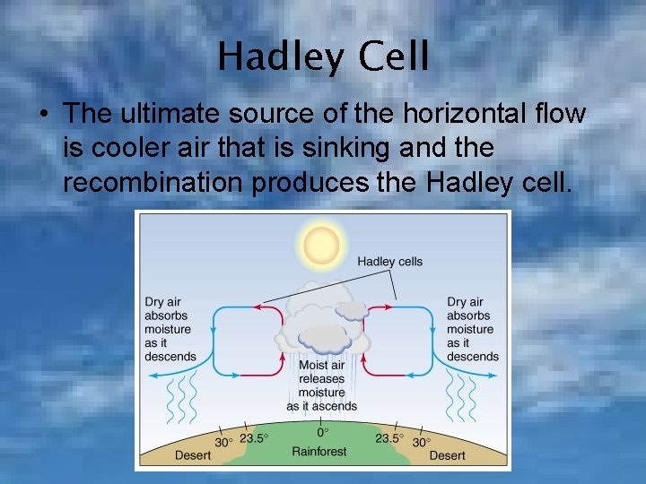Hadley Cell • The ultimate source of the horizontal flow is cooler air that
