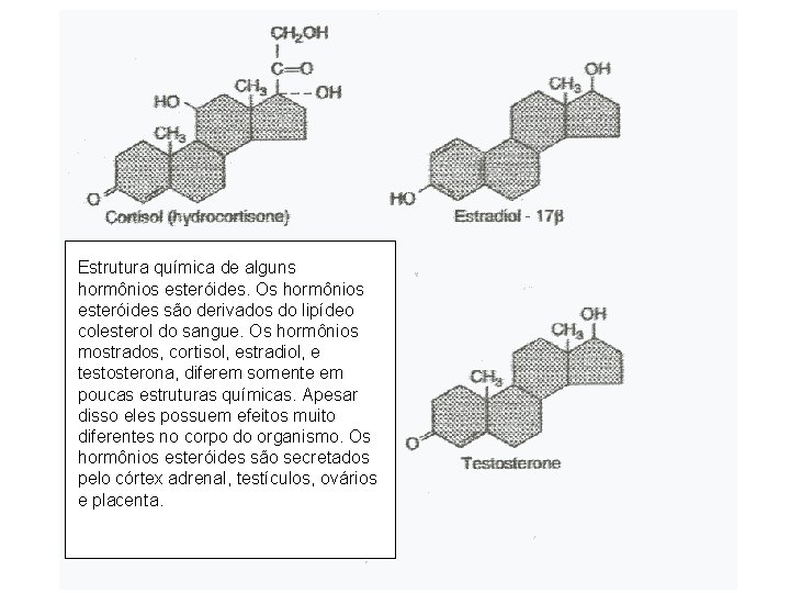 Estrutura química de alguns hormônios esteróides. Os hormônios esteróides são derivados do lipídeo colesterol Estrutura química de alguns hormônios esteróides. Os hormônios esteróides são derivados do lipídeo colesterol