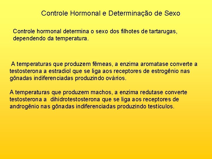Controle Hormonal e Determinação de Sexo Controle hormonal determina o sexo dos filhotes de Controle Hormonal e Determinação de Sexo Controle hormonal determina o sexo dos filhotes de