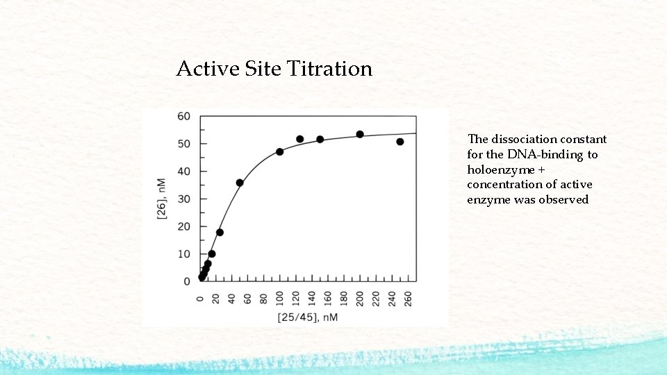 Active Site Titration The dissociation constant for the DNA-binding to holoenzyme + concentration of
