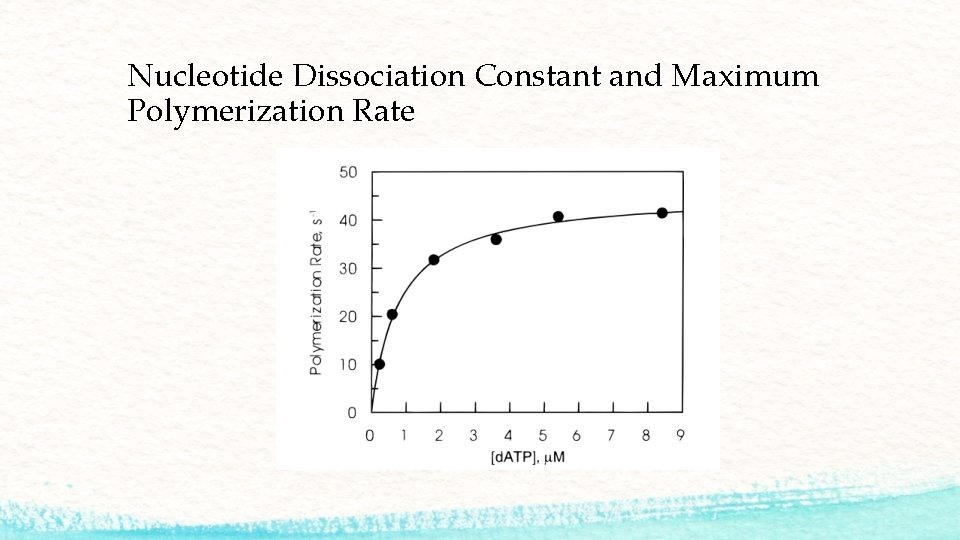 Nucleotide Dissociation Constant and Maximum Polymerization Rate 