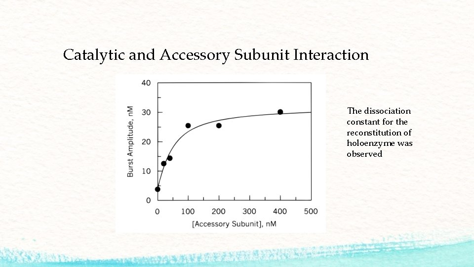 Catalytic and Accessory Subunit Interaction The dissociation constant for the reconstitution of holoenzyme was