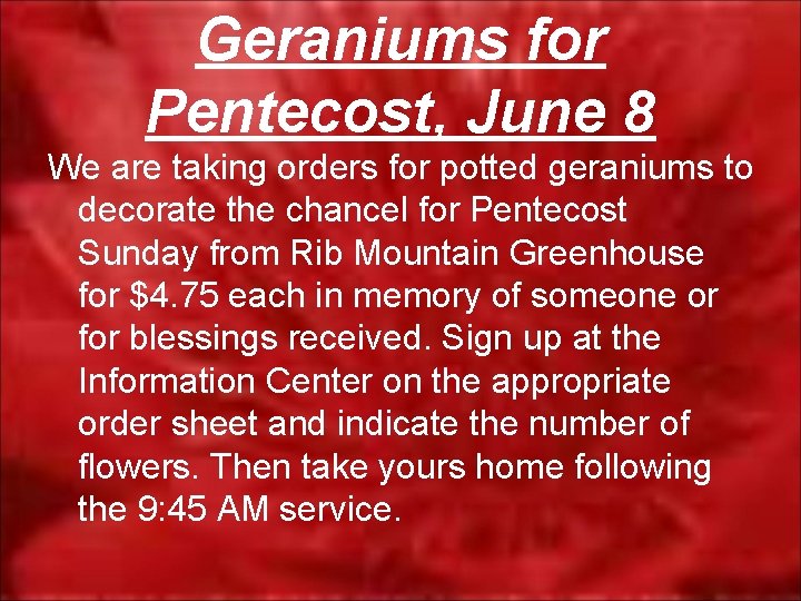 Geraniums for Pentecost, June 8 We are taking orders for potted geraniums to decorate