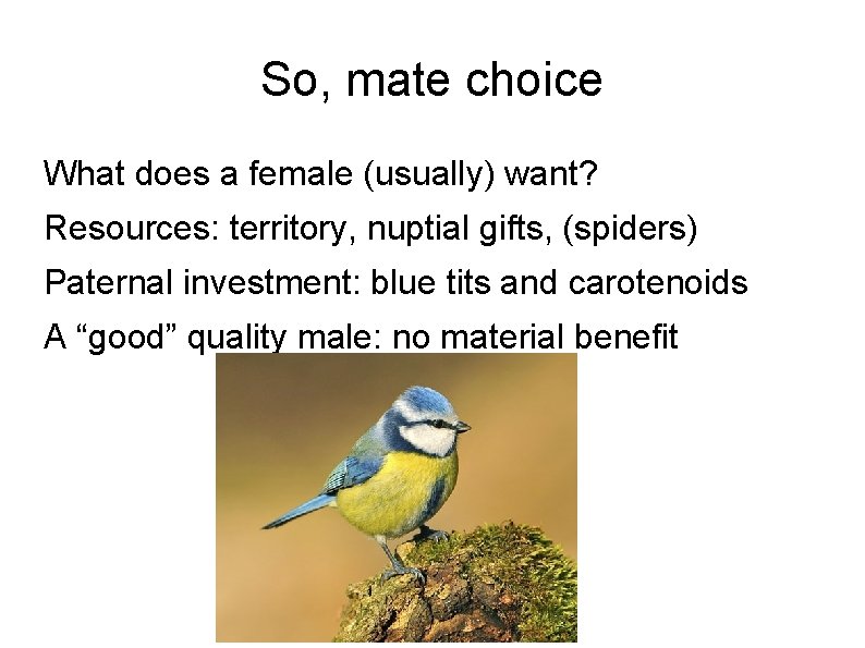 So, mate choice What does a female (usually) want? Resources: territory, nuptial gifts, (spiders)