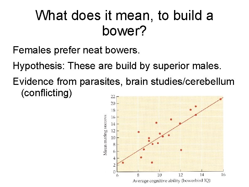 What does it mean, to build a bower? Females prefer neat bowers. Hypothesis: These