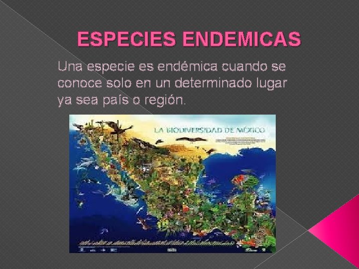 Que Especies Endemicas En La Entidad Donde Vivo