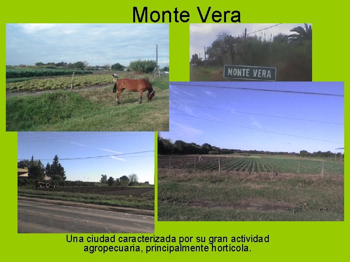 Monte Vera Una ciudad caracterizada por su gran actividad agropecuaria, principalmente hortícola. 