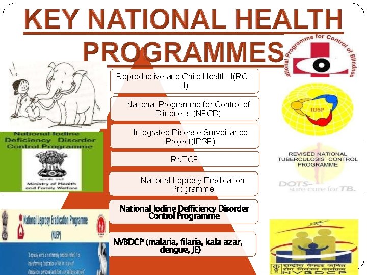 Reproductive and Child Health II(RCH II) National Programme for Control of Blindness (NPCB) Integrated