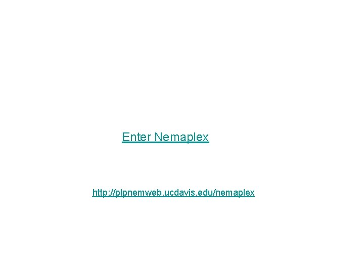 Enter Nemaplex http: //plpnemweb. ucdavis. edu/nemaplex 