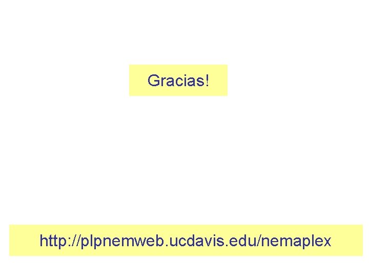 Gracias! http: //plpnemweb. ucdavis. edu/nemaplex 