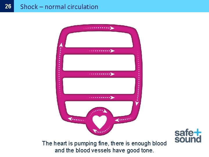 26 Shock – normal circulation The heart is pumping fine, there is enough blood