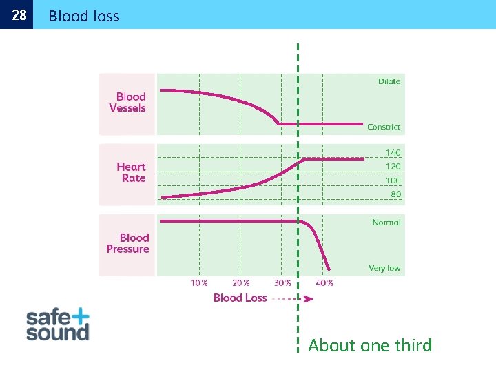 28 Blood loss About one third 