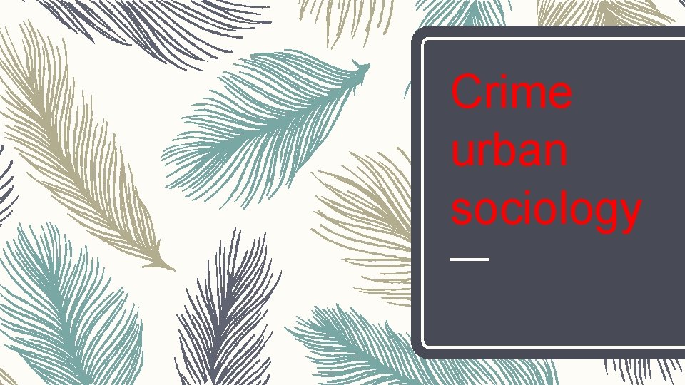 Crime urban sociology 