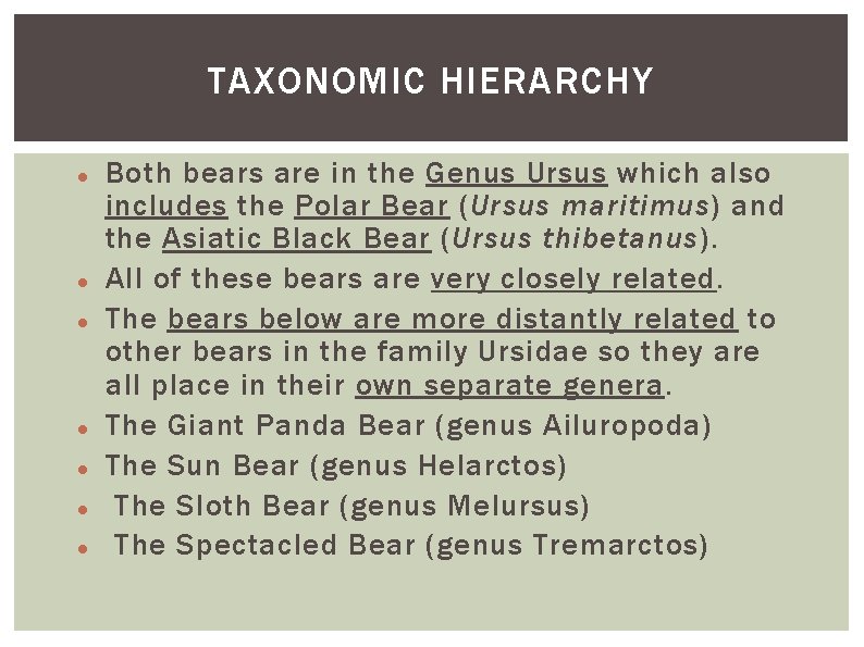 TAXONOMIC HIERARCHY Both bears are in the Genus Ursus which also includes the Polar