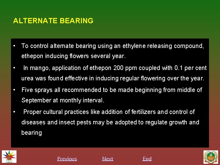 ALTERNATE BEARING • To control alternate bearing using an ethylene releasing compound, ethepon inducing