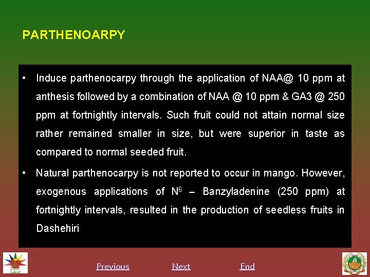 PARTHENOARPY • Induce parthenocarpy through the application of NAA@ 10 ppm at anthesis followed