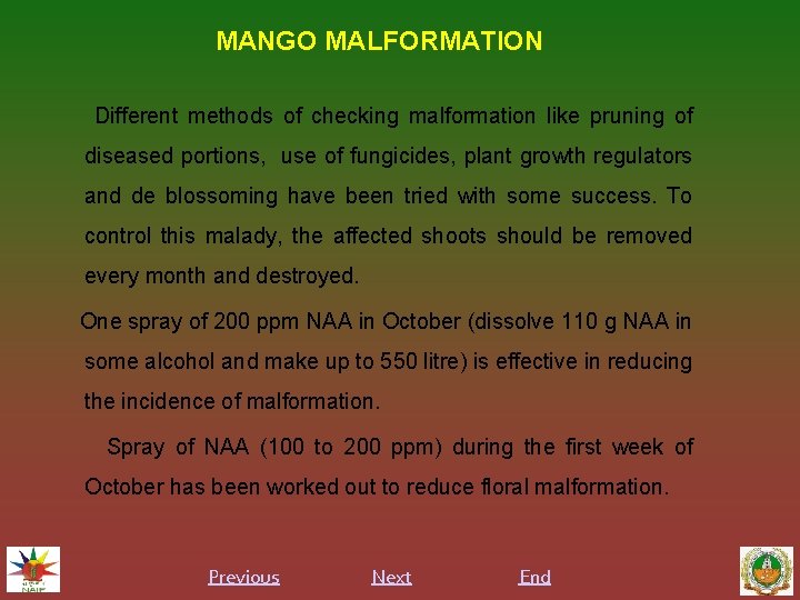 MANGO MALFORMATION Different methods of checking malformation like pruning of diseased portions, use of