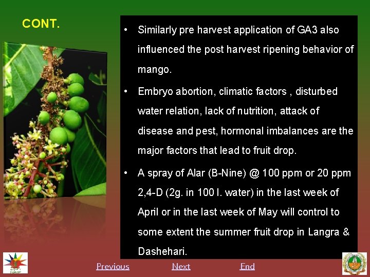 CONT. • Similarly pre harvest application of GA 3 also influenced the post harvest