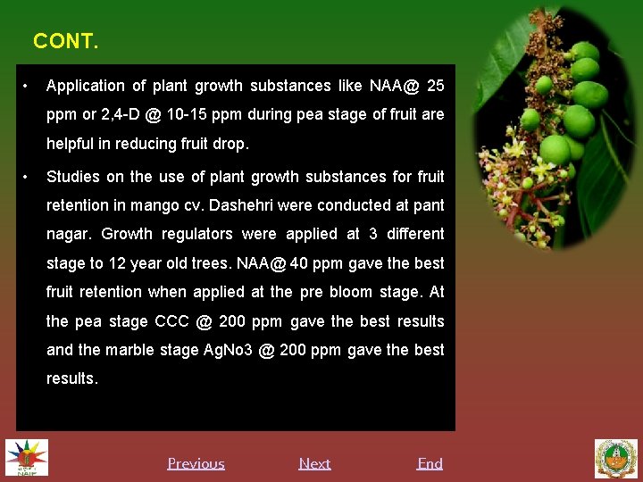 CONT. • Application of plant growth substances like NAA@ 25 ppm or 2, 4