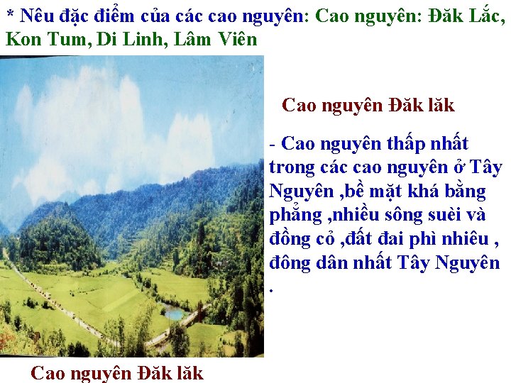 * Nêu đặc điểm của các cao nguyên: Cao nguyên: Đăk Lắc, Kon Tum,