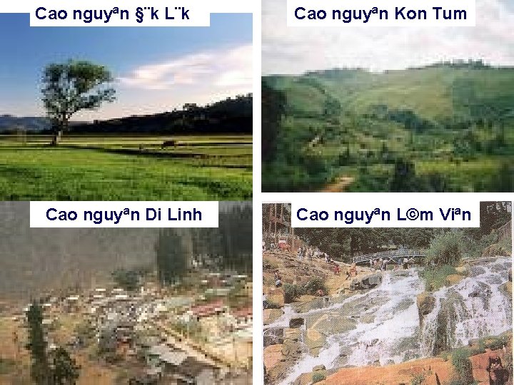 Cao nguyªn §¨k L¨k Cao nguyªn Di Linh Cao nguyªn Kon Tum Cao nguyªn