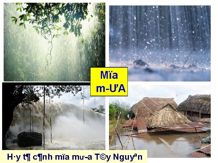 Mïa m ƯA H·y t¶ c¶nh mïa mư a T©y Nguyªn 