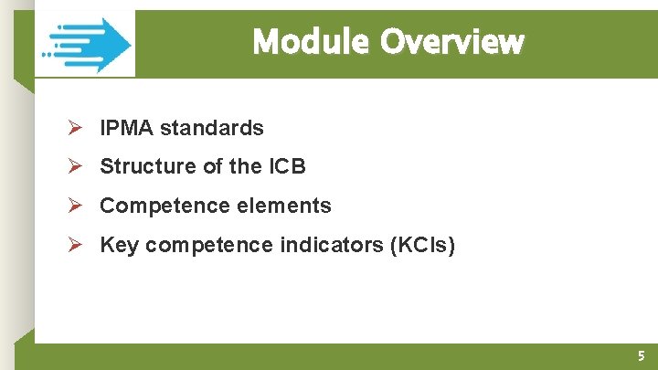 Module Overview Ø IPMA standards Ø Structure of the ICB Ø Competence elements Ø