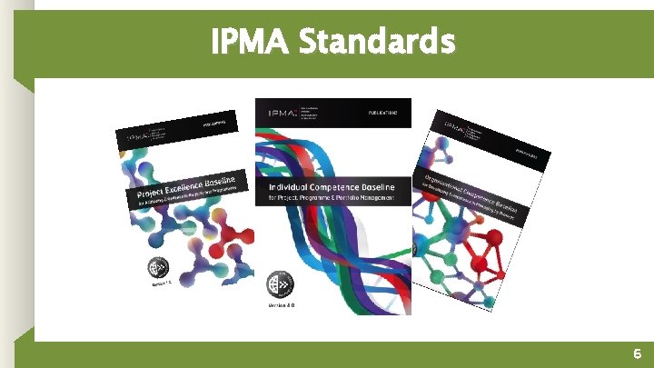 IPMA Standards 6 