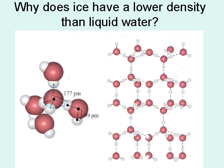 Why does ice have a lower density than liquid water? 