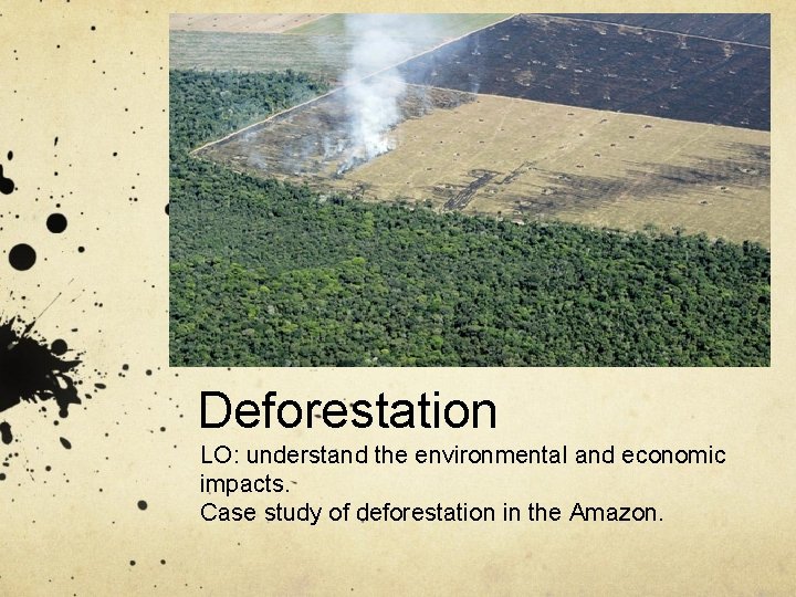 deforestation case study business