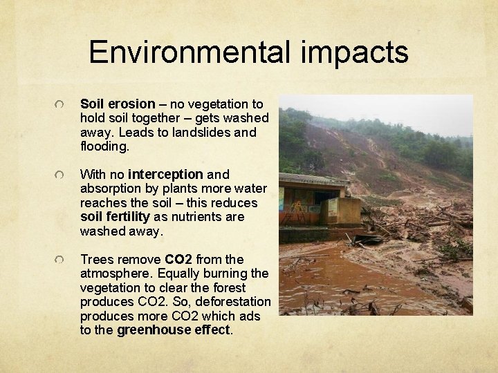 Environmental impacts Soil erosion – no vegetation to hold soil together – gets washed Environmental impacts Soil erosion – no vegetation to hold soil together – gets washed