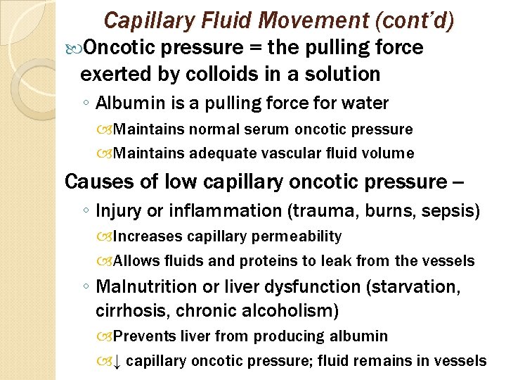 Capillary Fluid Movement (cont’d) Oncotic pressure = the pulling force exerted by colloids in