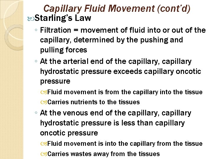 Capillary Fluid Movement (cont’d) Starling’s Law ◦ Filtration = movement of fluid into or