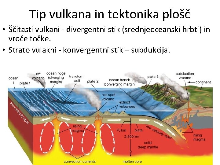 Tip vulkana in tektonika plošč • Ščitasti vulkani - divergentni stik (srednjeoceanski hrbti) in