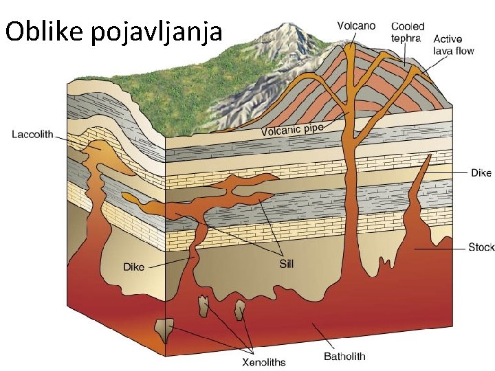 Oblike pojavljanja 