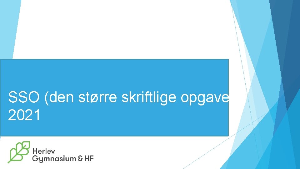 SSO (den større skriftlige opgave) 2021 